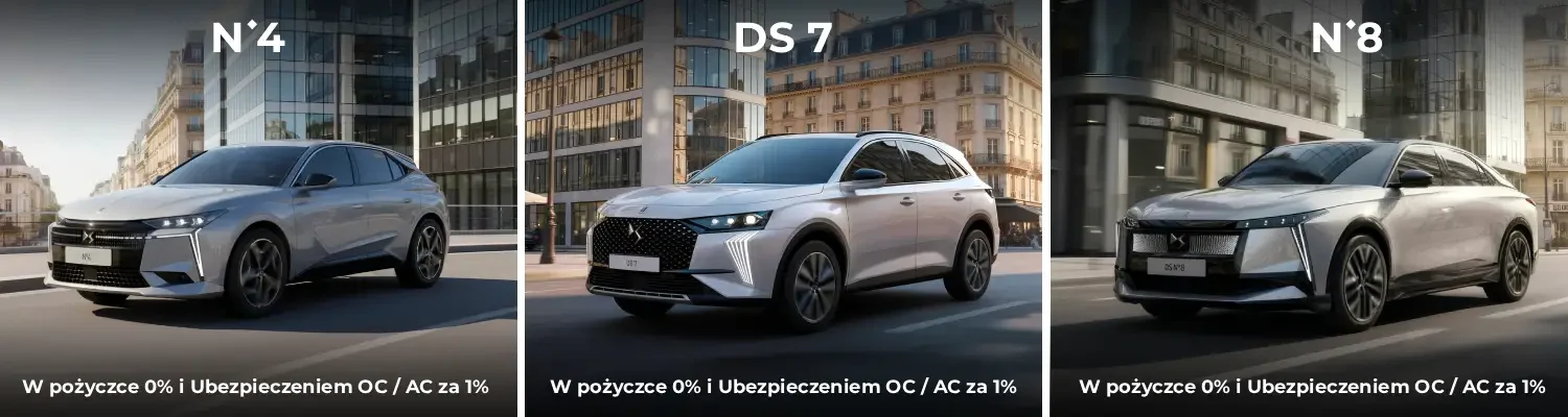 DS WEB (3)